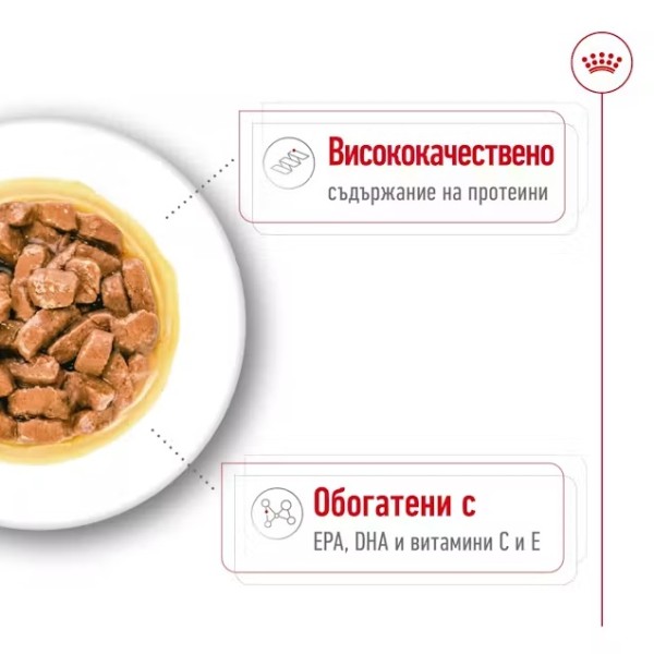 Royal Canin Dog Medium Ageing 10+ - Паучове за възрастни кучета от средни породи над 10г